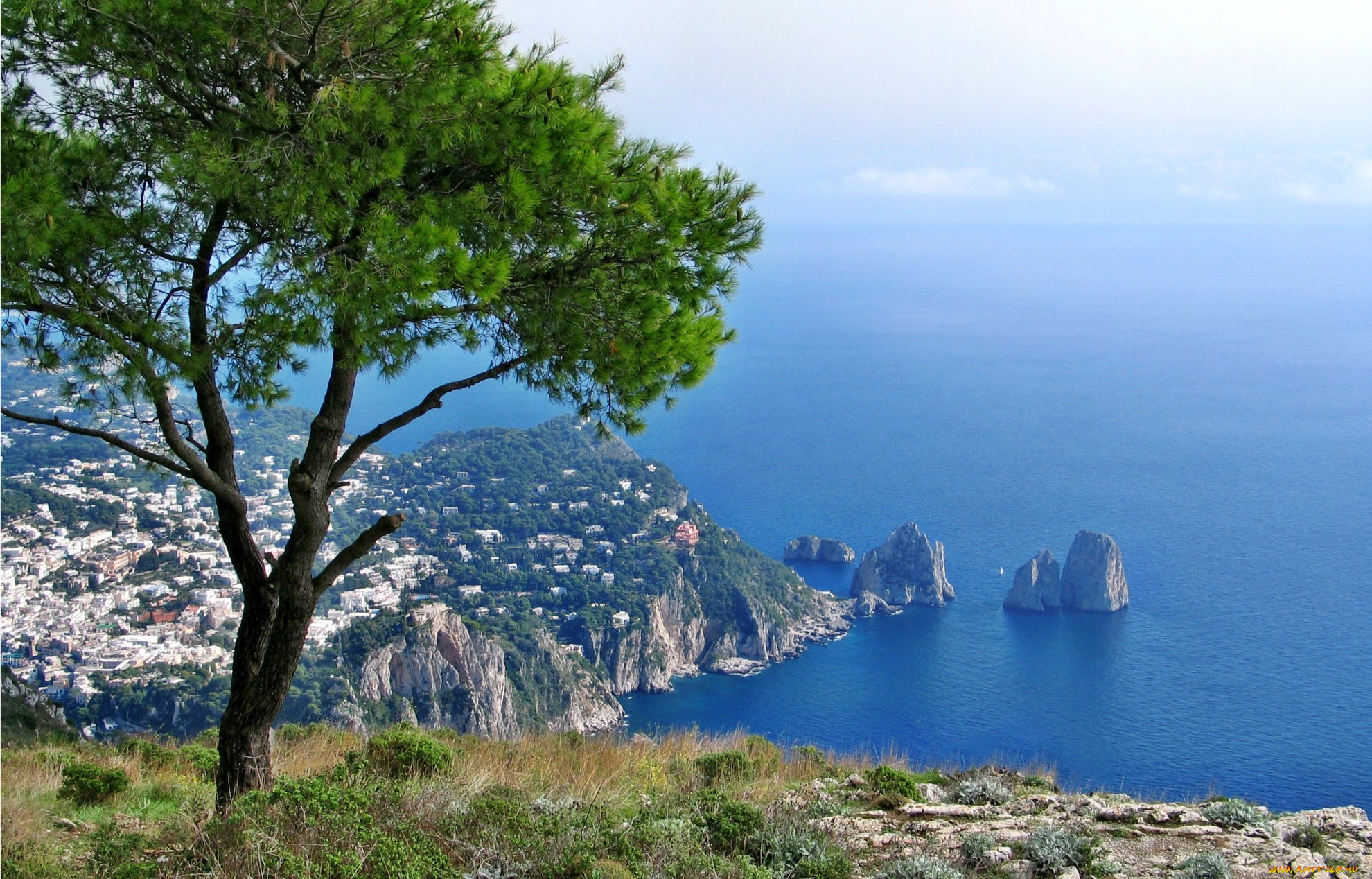 capri, , , , , , , , 